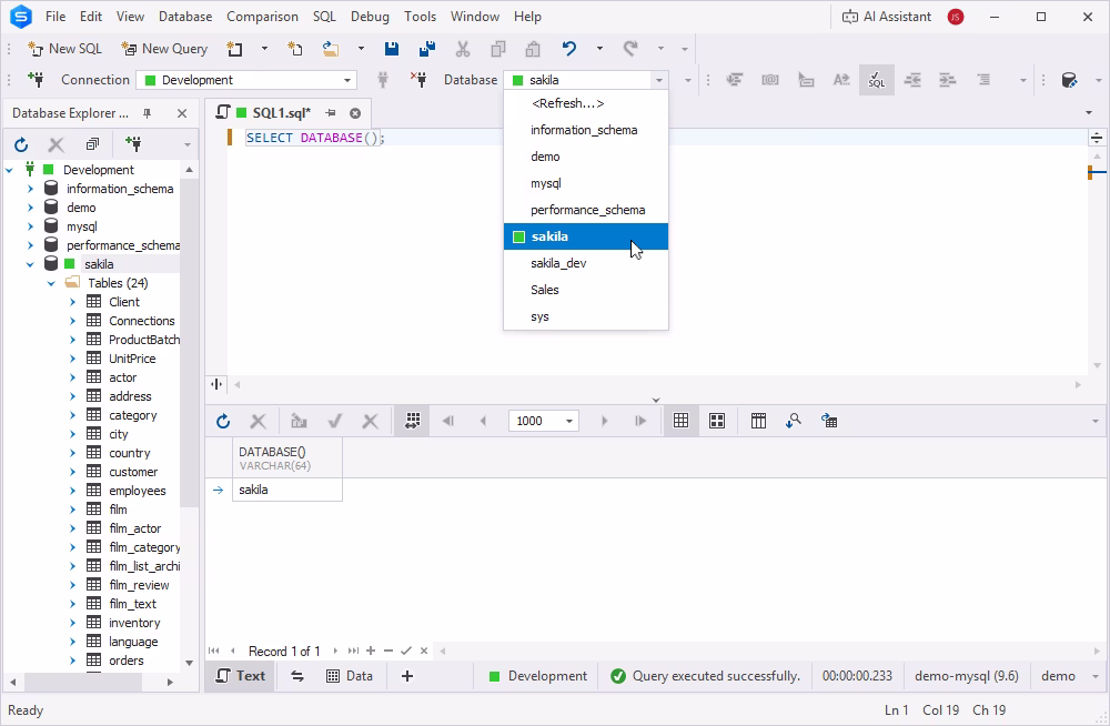 SELECT DATABASE() query result showing the currently selected MySQL database