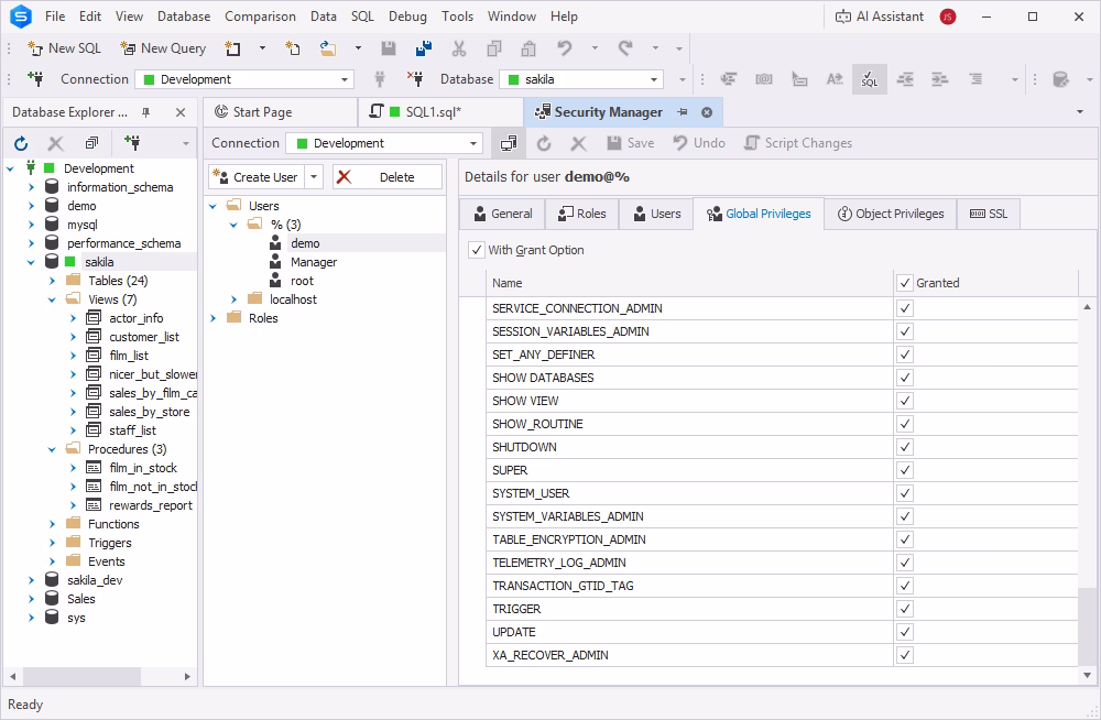 Security Manager in dbForge Studio for MySQL showing user privileges