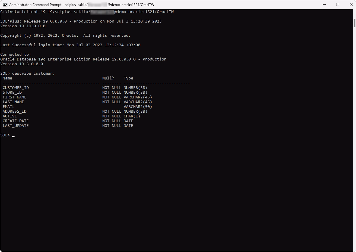 SQL*Plus is showing the DESCRIBE command output for the customer table with column names, data types, and null constraints.