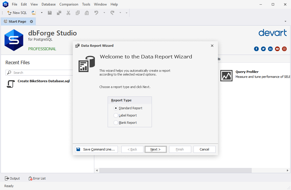 Data report wizard