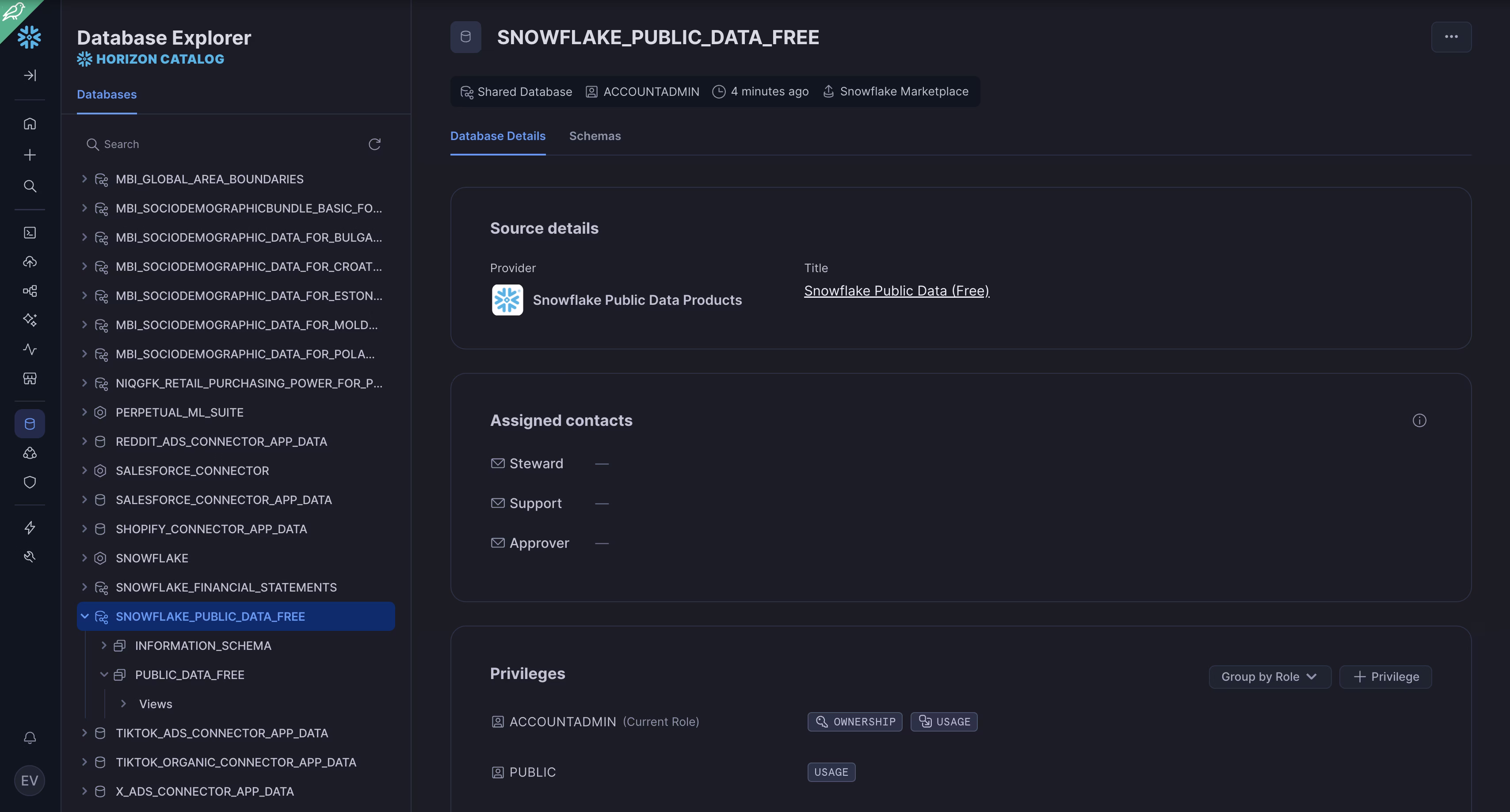 Snowflake Database Explorer