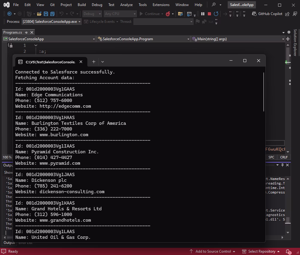 Salesforce data in the C# console application