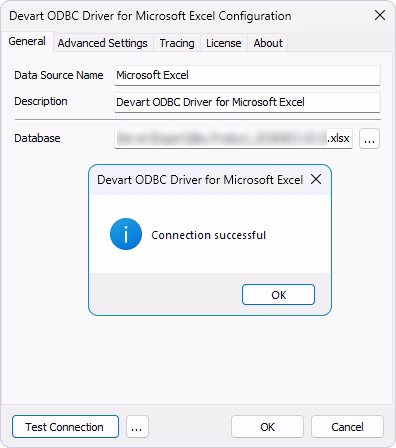 Successful connection to Microsoft Excel on Windows