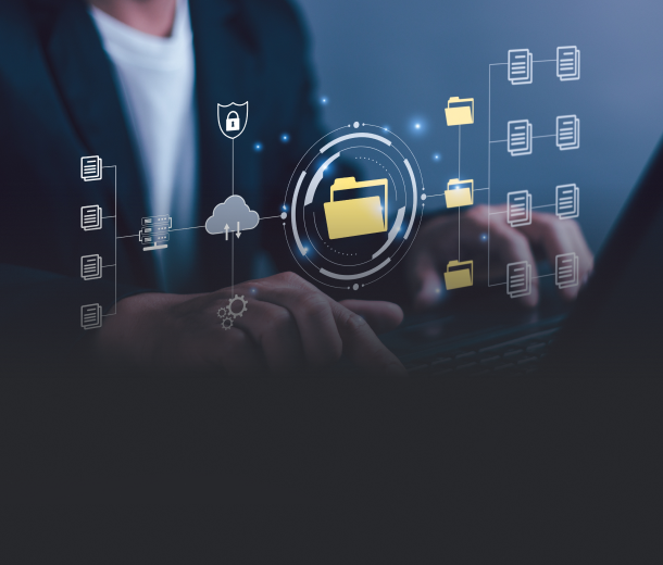 Database administrators